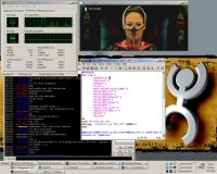 MPlayer Windows XP alatt